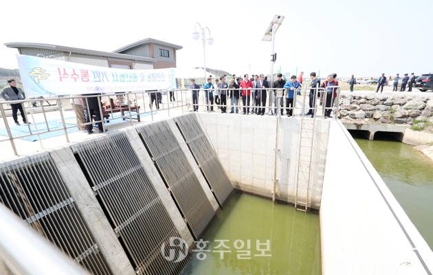 천수만사업단 풍년농사 통수식 사진