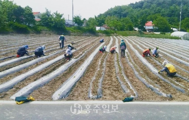 어르신들이 함께 일하며 즐거운 생활