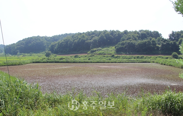 담배농사 퇴조하고 축산과 절임배추로 농가소득 올려