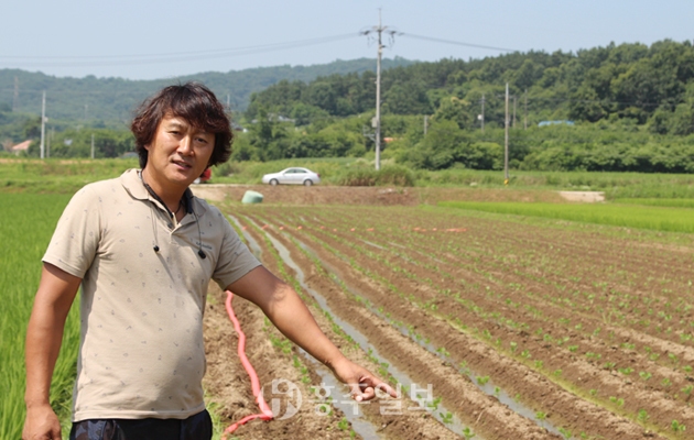 담배농사퇴조하고축산과절임배추로농가소득올려 4