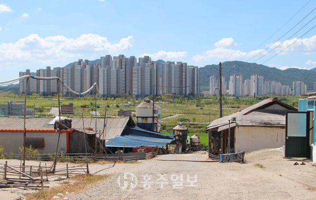 내포신도시 축산악취 농장주도 피해자다!