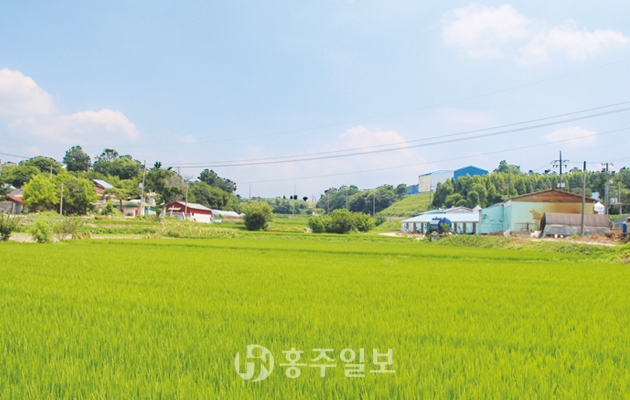 친환경농업과축산으로부농을이룬마을 1