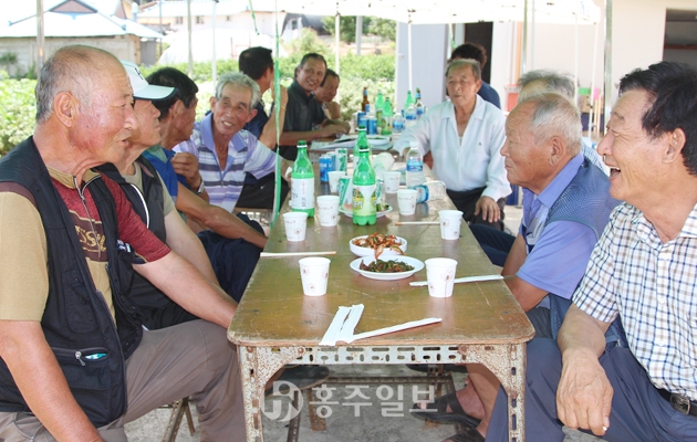 관정물로짓는농사오랜가뭄에지하수도바닥나 8