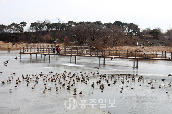 홍성읍 고암리에 위치한 역재방죽공원.