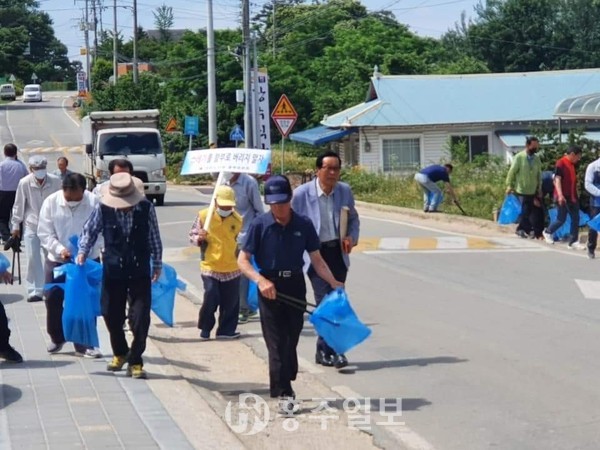 노인자원봉사클럽 회원들이 홍북읍 대동리에서 자연정화 활동을 하고 있다.