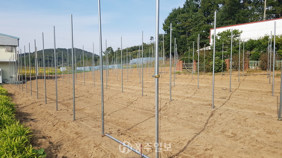 지주 파이프 설치를 진행하고 있다.
