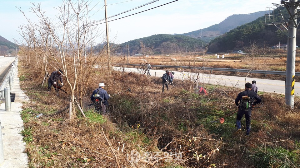 도로변에 위치한 덩굴류를 제거하는 작업을 진행중이다.