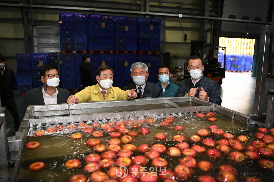 예산농산물유통센터(APC)의 선별장.