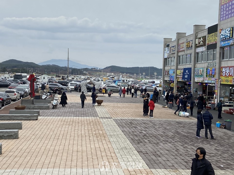 지난 23일 새조개 축제의 개막과 함께 새조개를 맛보러 남당항을 찾아온 사람들.<br>