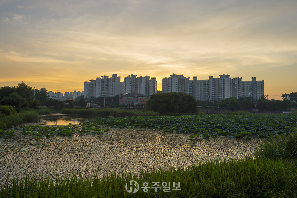 역재방 저수지 전경.