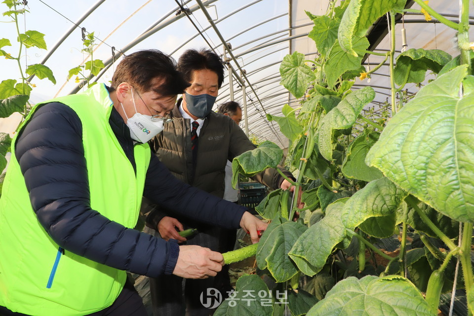 왼쪽부터 이종욱 충남세종농협본부장과 윤관호 고덕농협조합장이 청년농업인 이규필(29) 씨 농장을 찾았다.