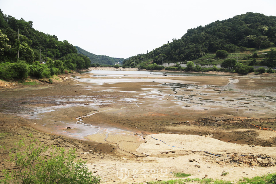 지난 13일 광천읍 벽계리 소재 벽정저수지가 가뭄으로 바닥을 드러낸 모습.