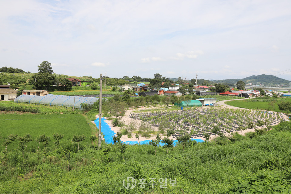 마한의 중심도시에 ‘충남 행정수도’ 새로운 터전 일구다