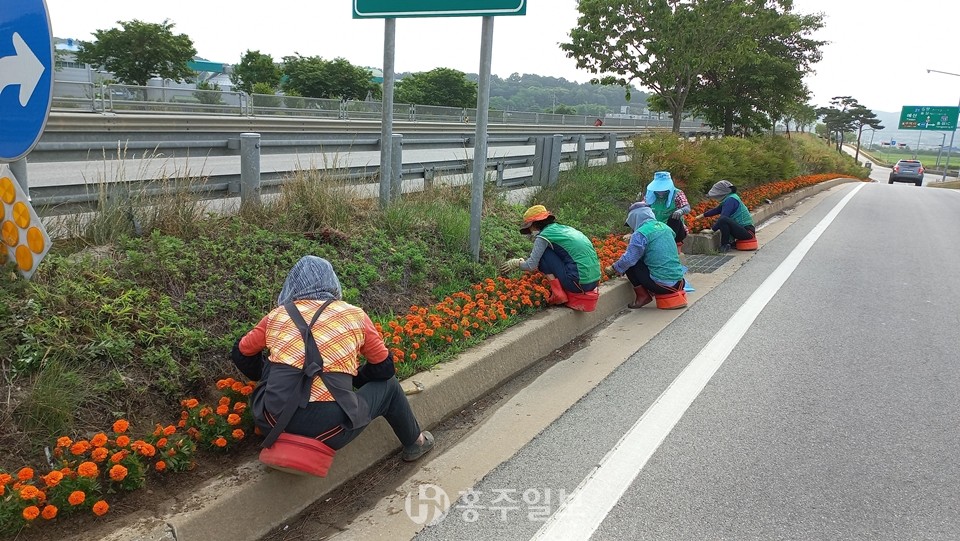 가로화단 정비 중인 회원들의 모습.