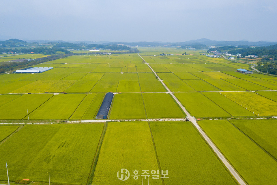 홍동면 문당리 토지 전경.