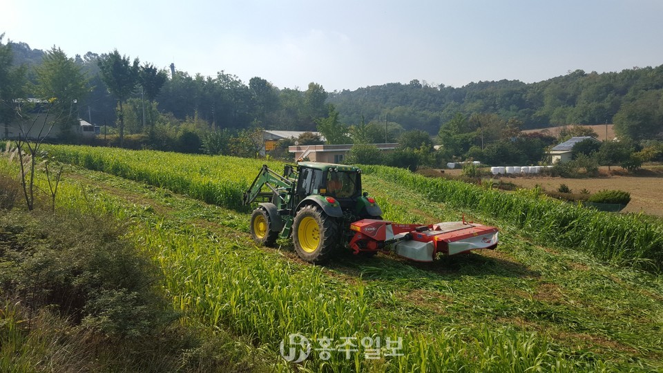 한창 작업 중인 농기계.