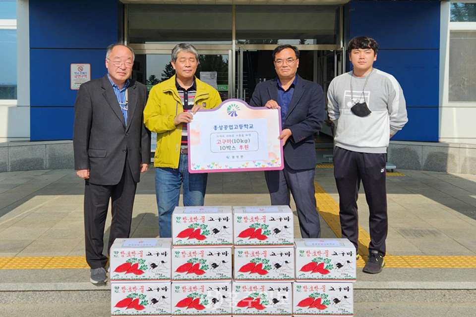 홍성공업고등학교 학생들이 키운 고구마.