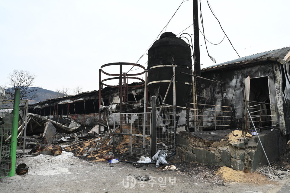 지난 2일부터 4일까지 홍성군 서부면 일대에서 발생한 ‘홍성 산불’로 인해 불타버린 양돈 축사.