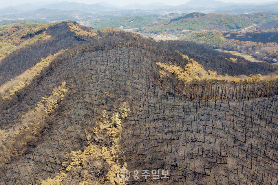 홍성 서부·결성 덮친 산불, ‘이제는 피해복구다’