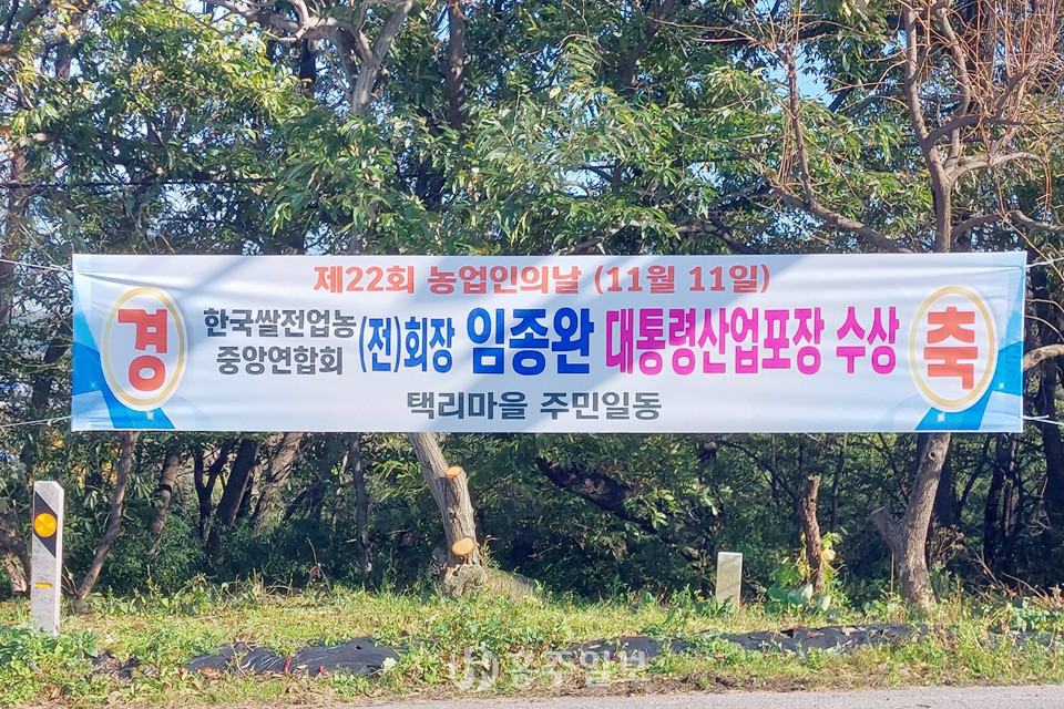 석택리 마을 입구에 한국쌀전업농중앙연합회 임종완 전 회장이 대통령 표창 수상을 축하하는 현수막 걸려있다.