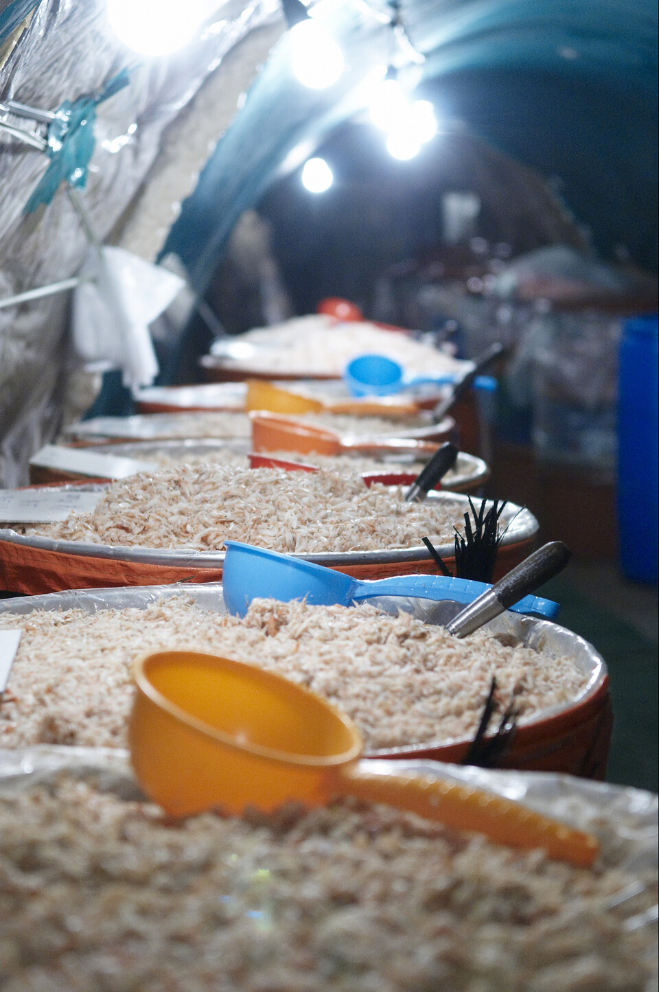 광천토굴새우젓.