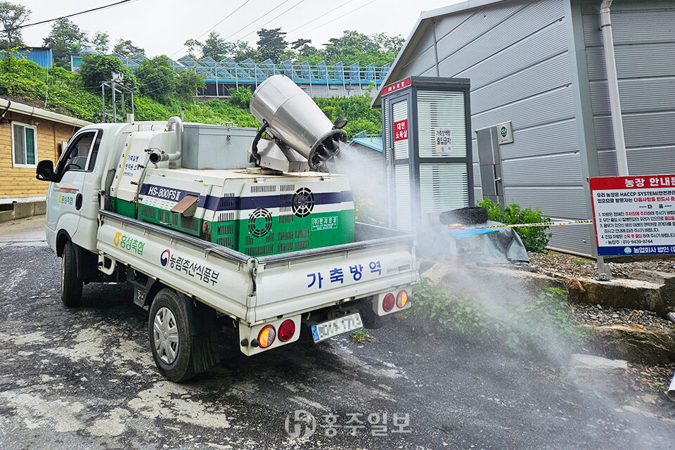 아프리카돼지열병(ASF) 방역 모습.