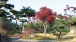 광천읍 내현리에 위치한 『그림이 있는 정원』장애인 된 아들을 위해 손수 수목원을 가꿔온 아버지의 사랑이 가득찬 감동이 있는 수목원이다.