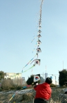 지난 20일 열린 민속놀이 행사에서 108개의 연에 홍성의 안녕과 풍년을 기원하는 의미를 담아 하늘 높이 띄우고 있다.