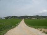 쌍천리 전경.