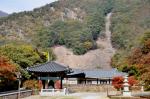 충북 영동 반야사 전경. 반야사  뒷편으로 돌&#8228;흙으로 자연스럽게 만들어진 호랑이 형상이 보인다.