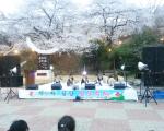 결성면은 지난 10일 석당산 자락에서 좌우촌마을 청년회 주관으로 ‘제5회 결성 벚꽃축제’를 개최하고 사물놀이, 색소폰 연주, 노래자랑, 장기자랑 등 다채로운 공연을 펼쳐 주민들로부터 호응을 얻었다.