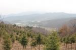 보개산에서 내려다 본 마을 전경.