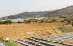 은하면 유송리의 한 밭.
