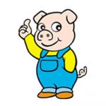 홍성군을 대표하는 마스코트 ‘복돌이’가 활용되지 못하고 있다.