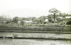 신도시 조성 이전의 신경리 자경동 마을 전경.