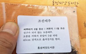 홍성씨앗도서관에서 온 조선배추 씨앗.