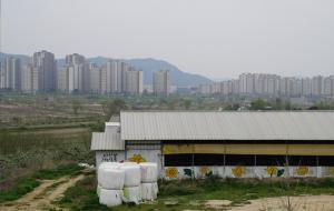 충남도청 내포신도시의 아파트가 보이는 가운데 주변에는 대형 축사가 자리잡고 있다.
