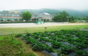 양도초등학교 전경. 운동장 한켠의 텃밭에는 고구마를 심었다.