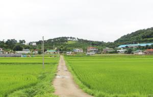 멀리서 바라본 원천마을 전경. 37가구가 네개의 자연부락으로 흩어져 있다.