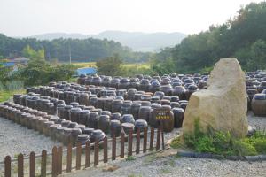 궁골식품의 장독대 전경.