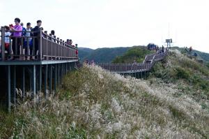 오서산은 가을철이 되면 억새풀이 은빛으로 물결치며 장관을 이룬다.