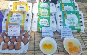 홍성군농업기술센터가 보급 생산 상품화한 친환경 계란 ‘클로렐란’.