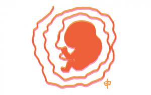 삽화·신명환 작가.