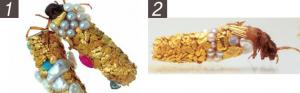 프랑스 아티스트, Hubert Duprat 는 날도래(Caddisfly) 애벌레의 주얼리 디자인.
