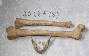 DNA검사를 받기 위한 준비를 하고 있는 유해들.