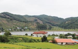 초록산을 배경으로 천태저수지를 품은 행정2리 마을 전경.
