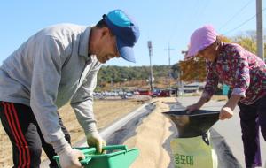 말린 벼를 포대에 담고 있는 강채선 씨. 수원에 사는 막내아들과 함께 했다.