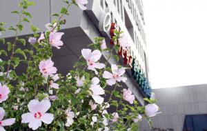 충남교육청이 무궁화 위상정립을 통한 무궁화 선양에 기여한 공로를 인정받았다.