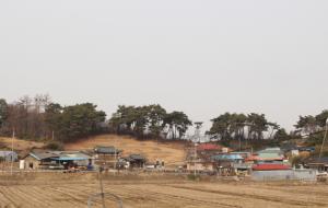 황새가 많이 산다고 해서 붙여진 황새울마을.