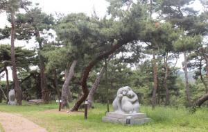 고마나루 소나무 숲과 곰 조각상.
